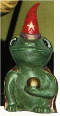 L 463 Magic Frog image 0