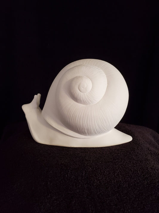Large Snail image 0