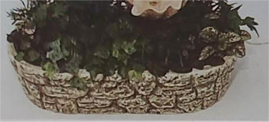 Z395 image 0
