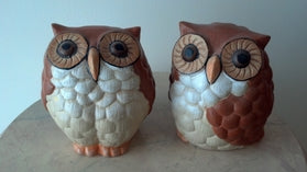 KP 1033 Looking Up Owl image 0