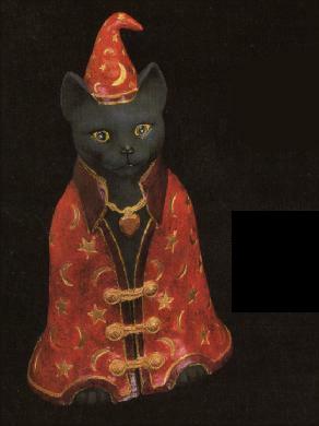 L 445 Small Wizard Cat image 0