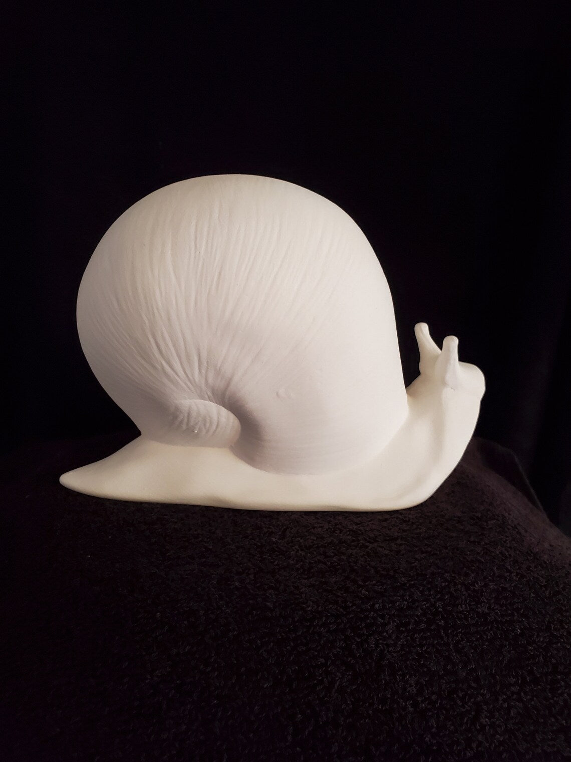 Large Snail image 1