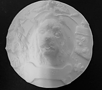 KP 479 image 0