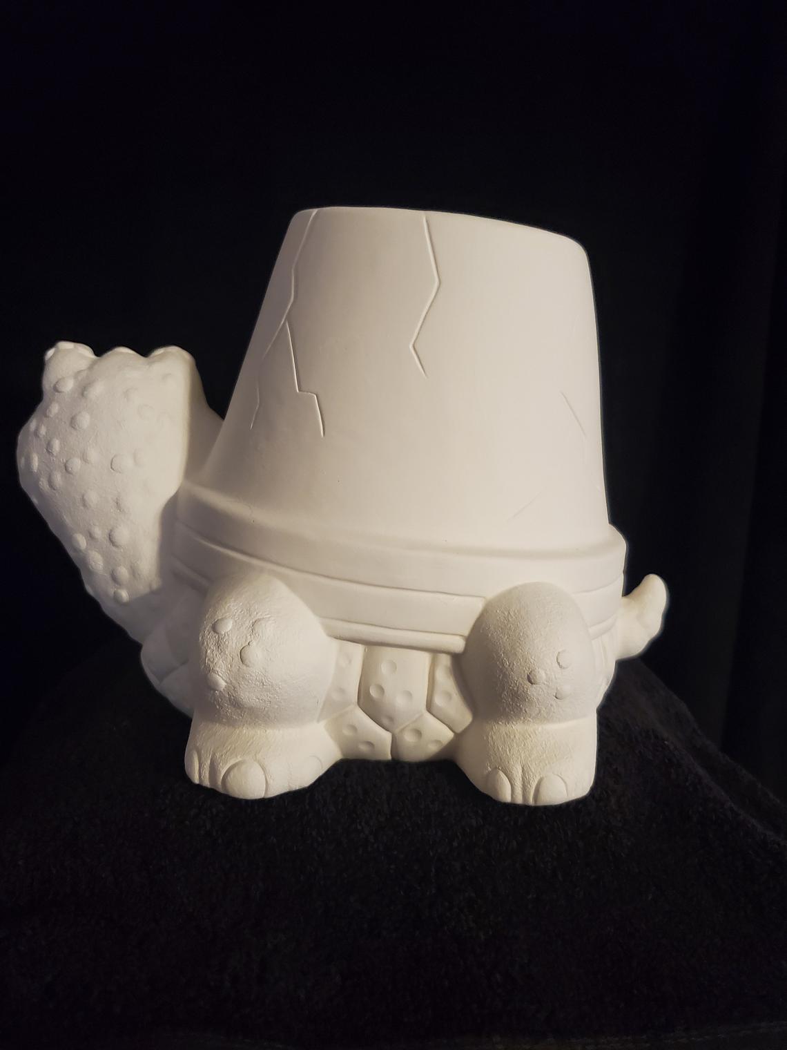 Cracked Pot Turtle image 1