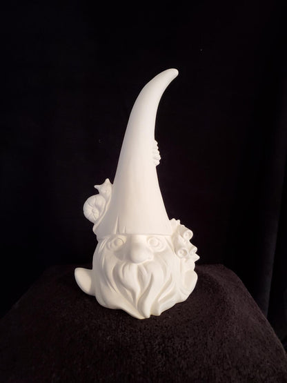 Garden Gnome image 0